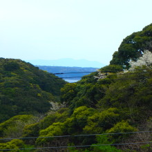 伊豆 下田ペンション 海 海水浴 天然温泉 貸切風呂 貸切露天風呂