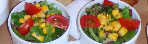伊豆 下田の水耕野菜のサラダ 伊豆 下田ペンション サラダ
