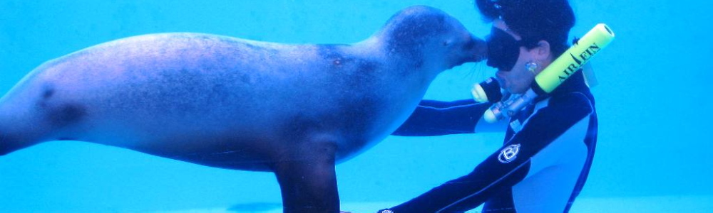 伊豆　下田　ペンション　下田海中水族館